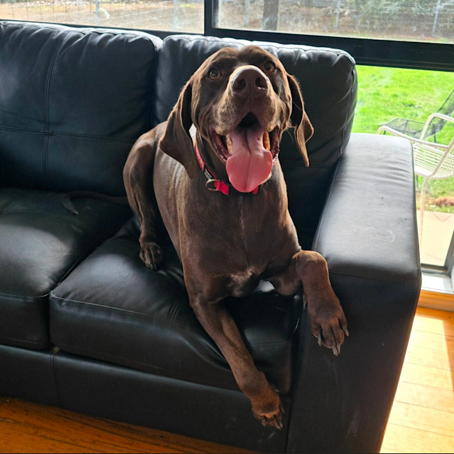 Photo of Huey