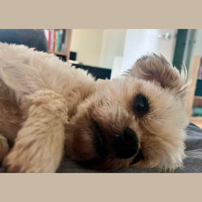 Photo of Annie