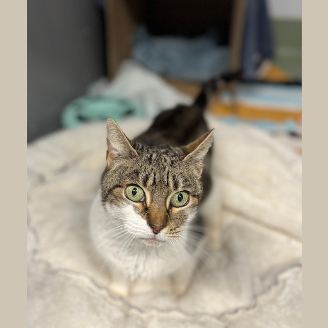 Photo of Nelly 