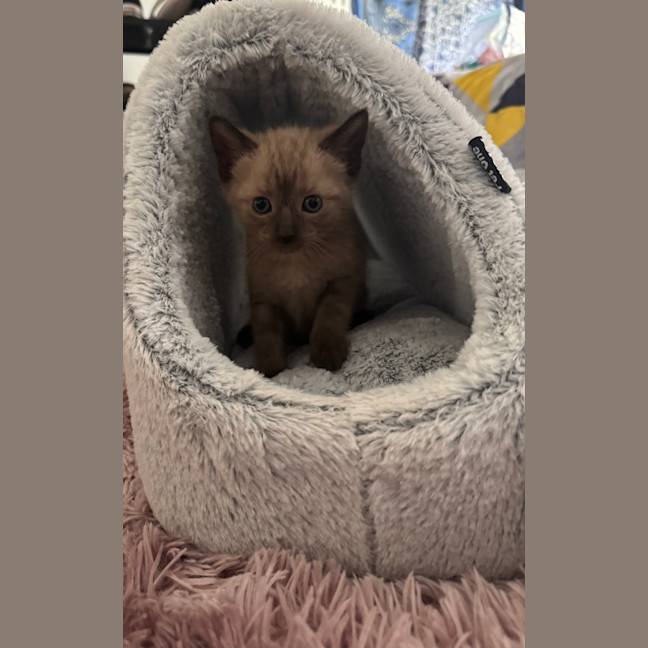 Photo of Mia