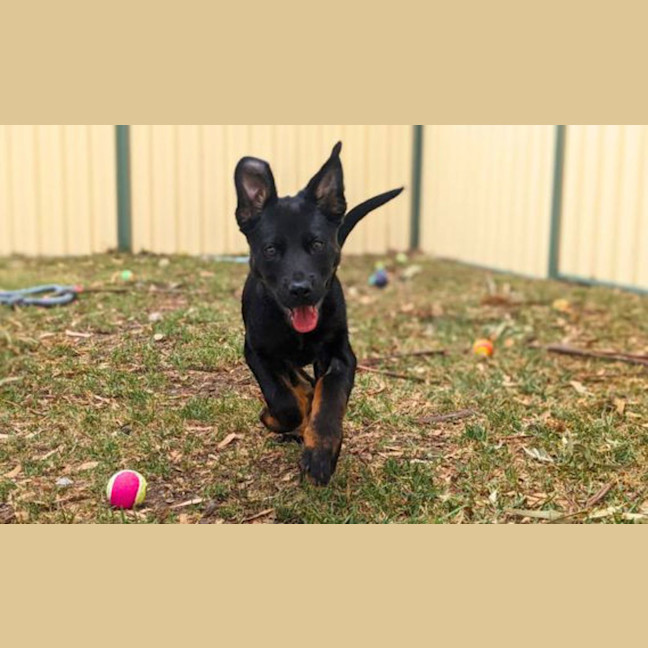 Photo of Ramona