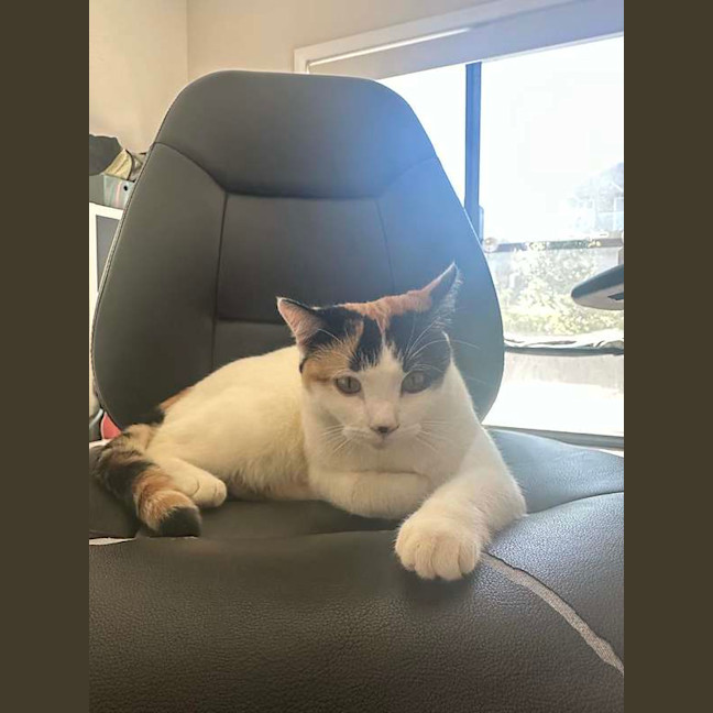 Photo of Yumi