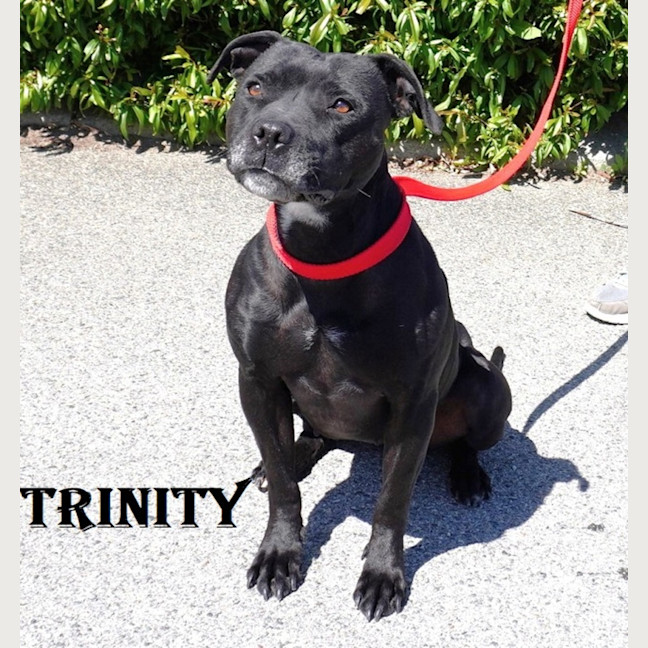 Photo of Trinity