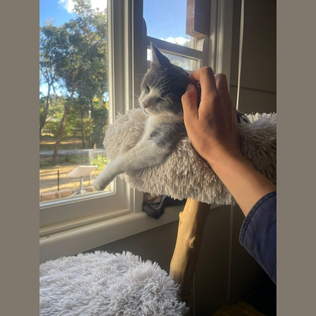 Photo of Disco