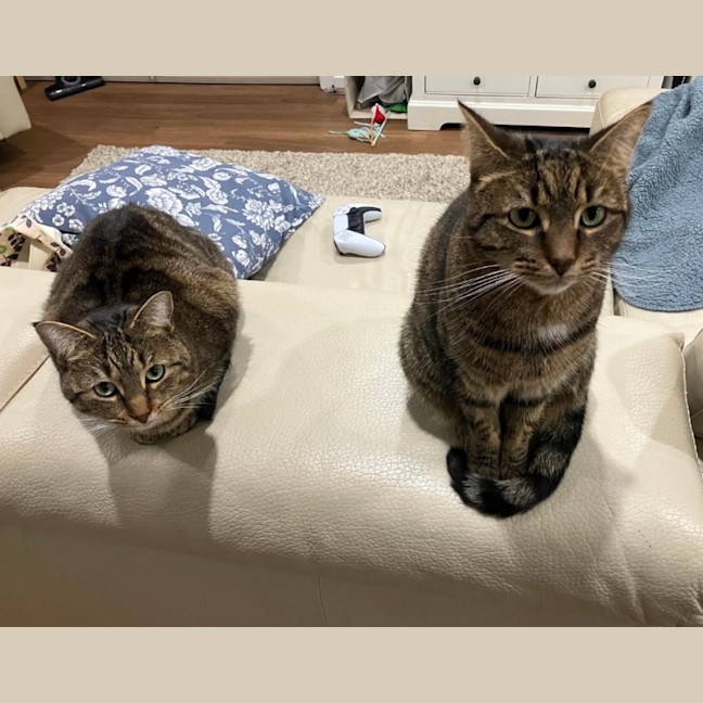 Photo of Daisy & Lilach 