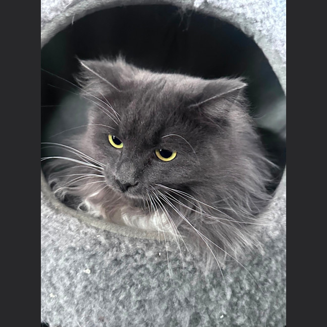 Photo of Betty 