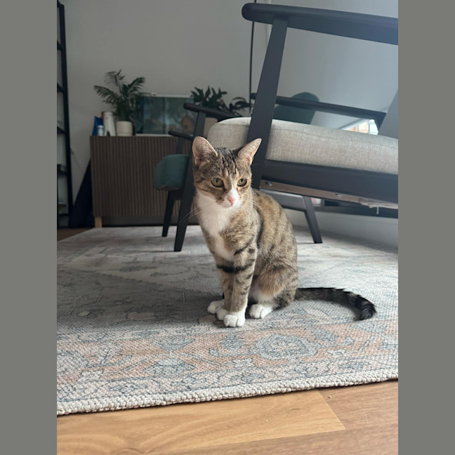 Photo of Trudy