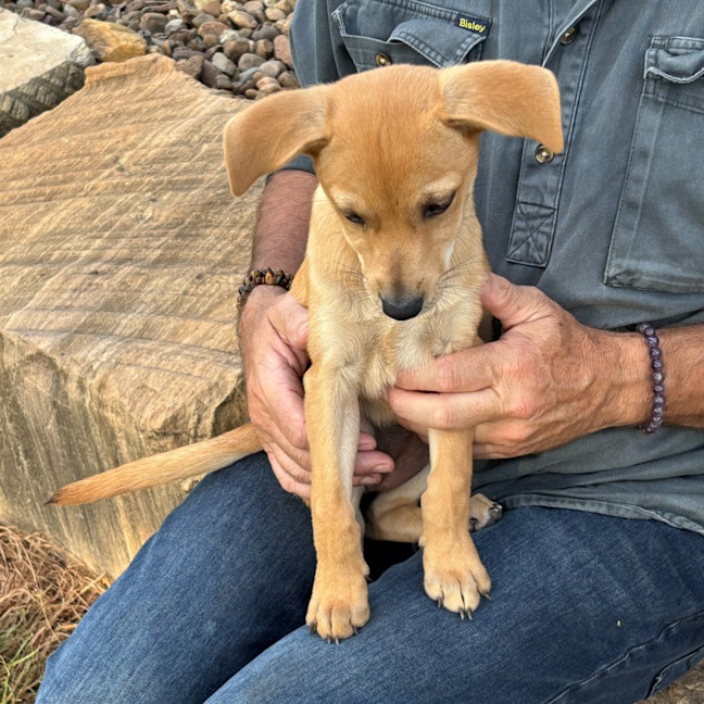 Photo of Sugar