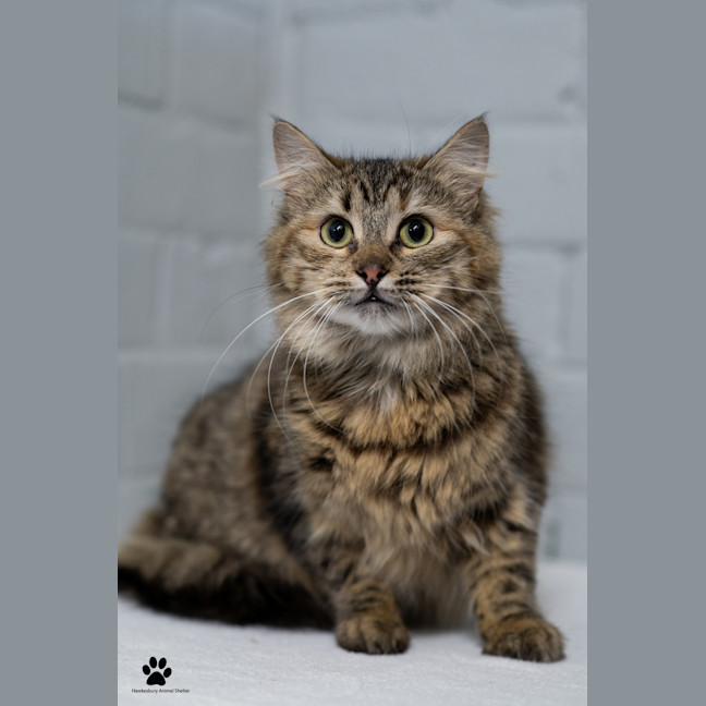 Photo of Belle