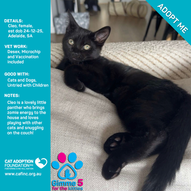 Photo of Cleo