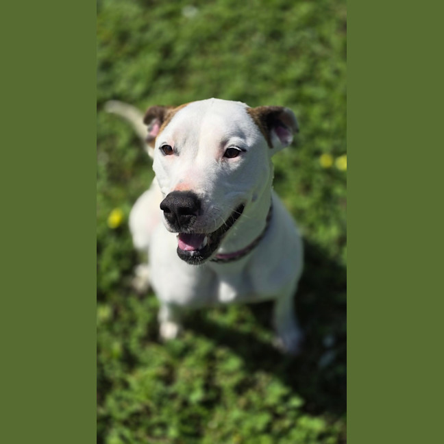 Photo of Jasmine