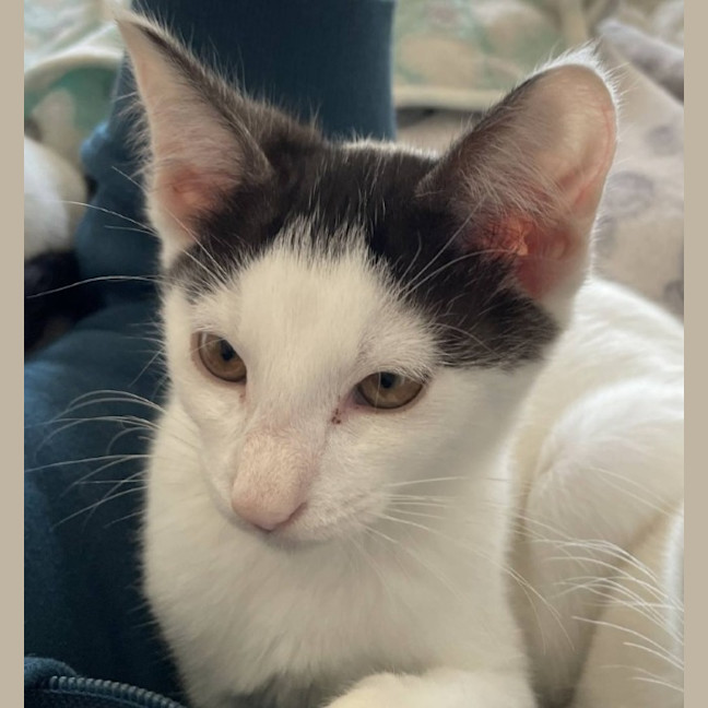 Photo of Bonny