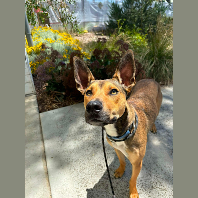 Photo of ⚽ Seamus 5707 ⚽