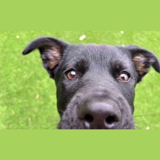 Photo of Ramona