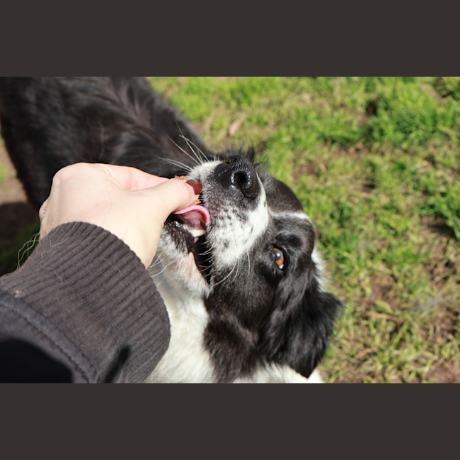 Photo of Mikka