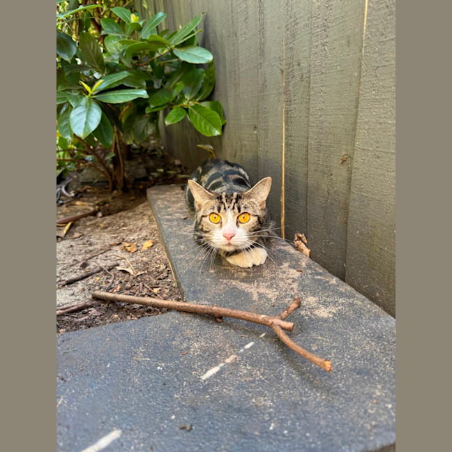 Photo of Daria