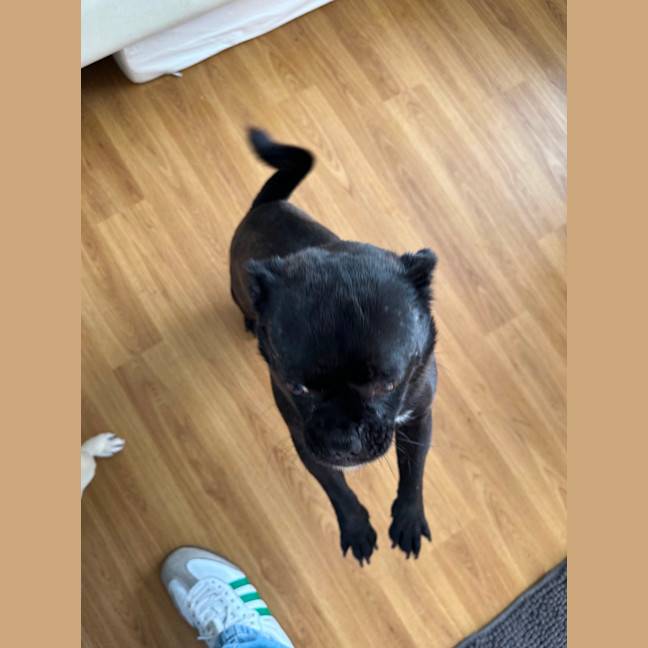 Photo of Christopher 