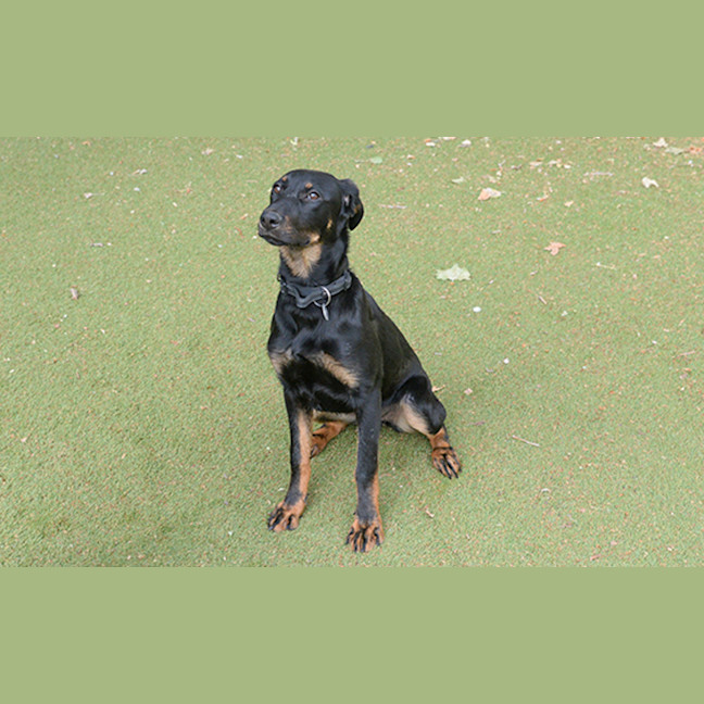 Photo of Kaiya