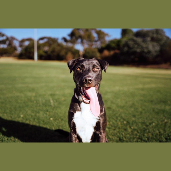 Photo of Toby Kumara