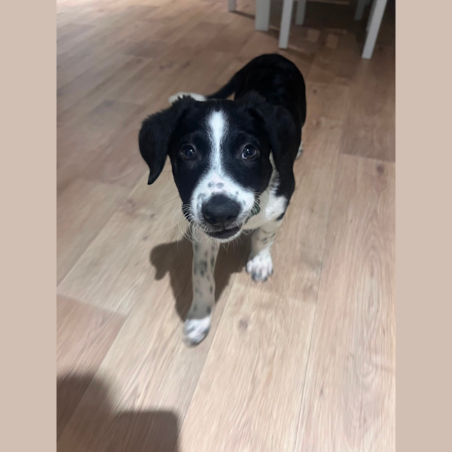 Photo of Lenny