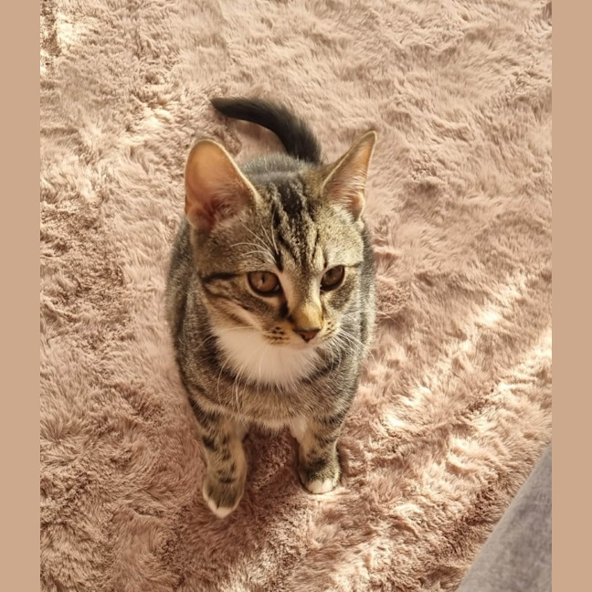 Photo of Suki