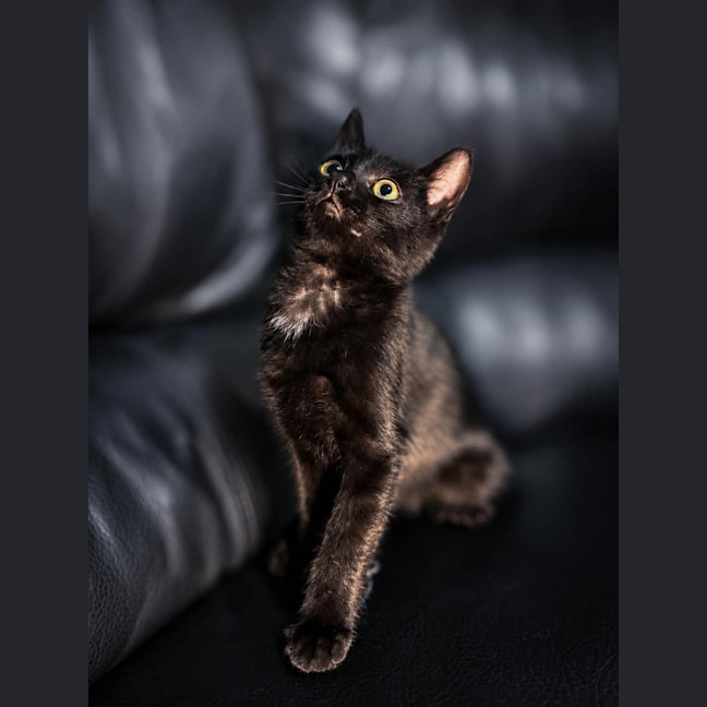 Photo of Vada