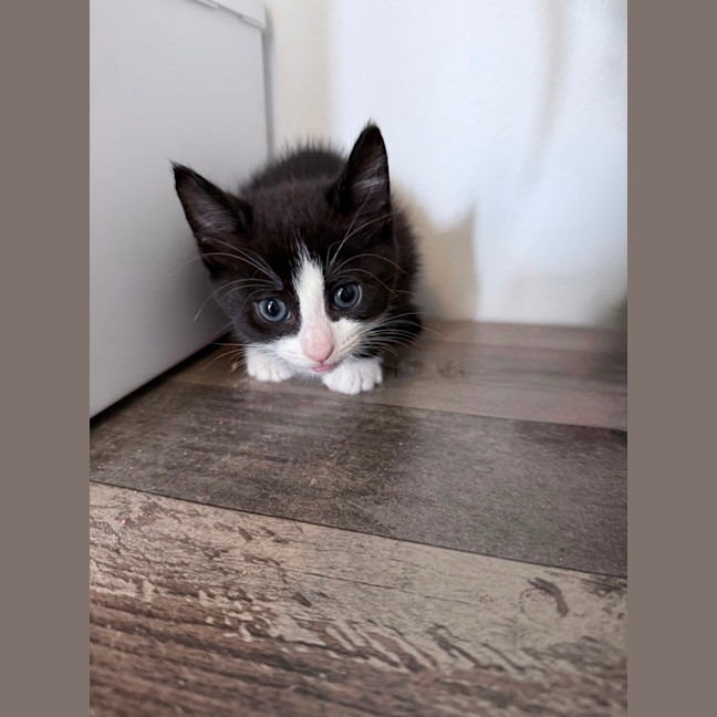 Photo of Addy 🌸🌸