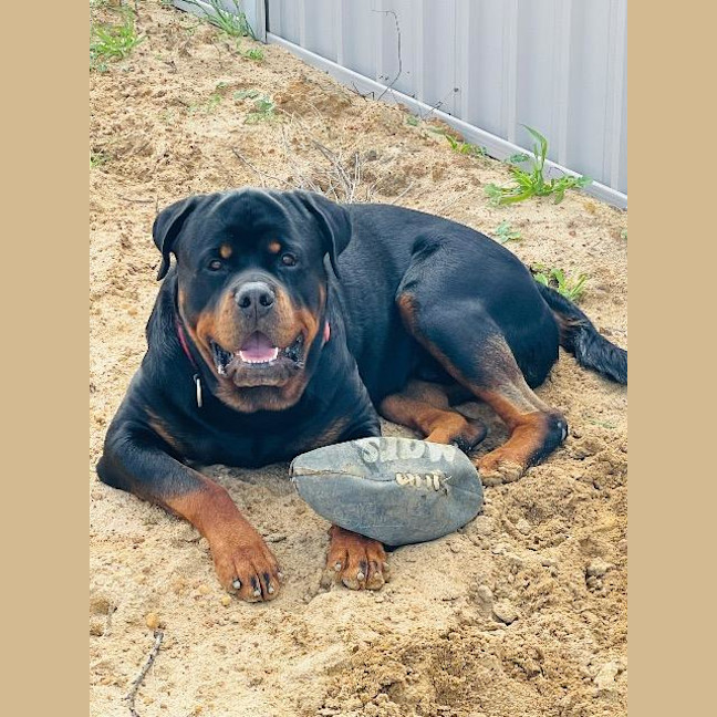 Photo of Stanley