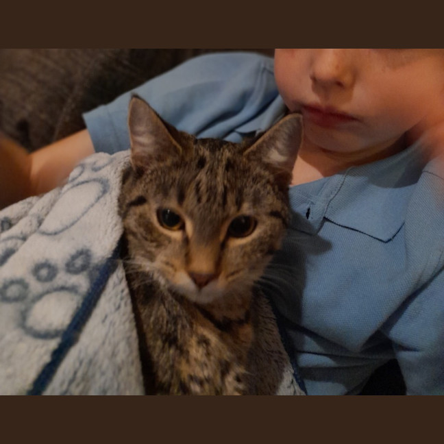 Photo of Jennifer Sparkles