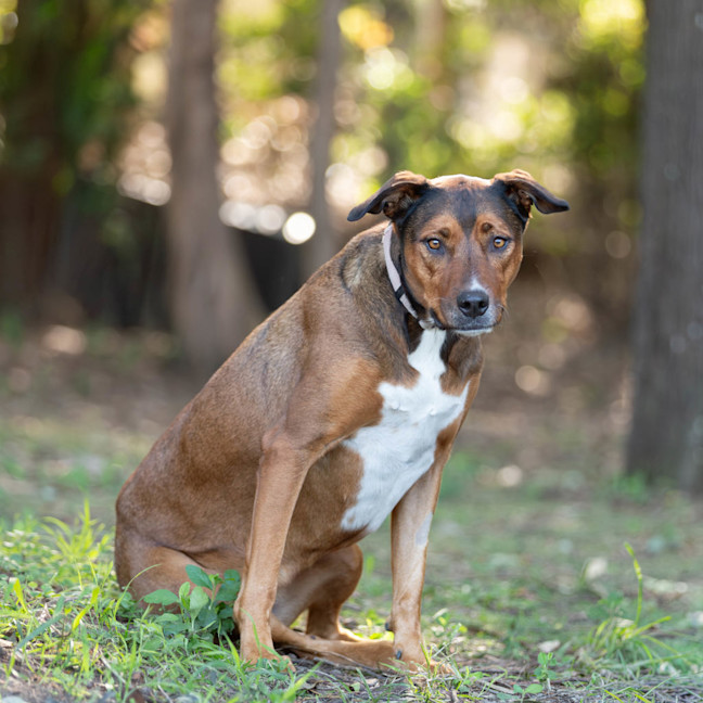 Photo of Carley