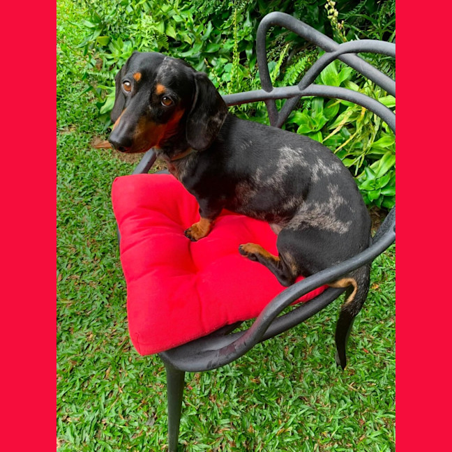 Photo of Hugo