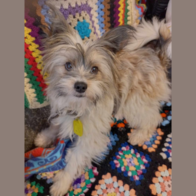 Photo of Benji & Lizzie