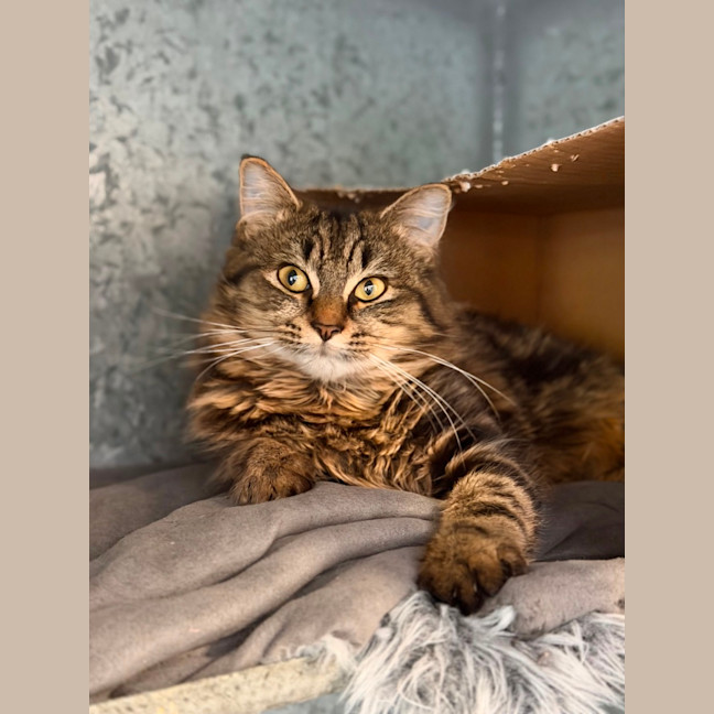 Photo of Ollie