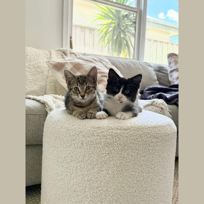 Photo of Andre And Gabby