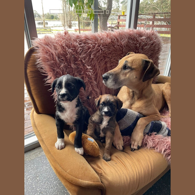 Photo of Dee Reynolds