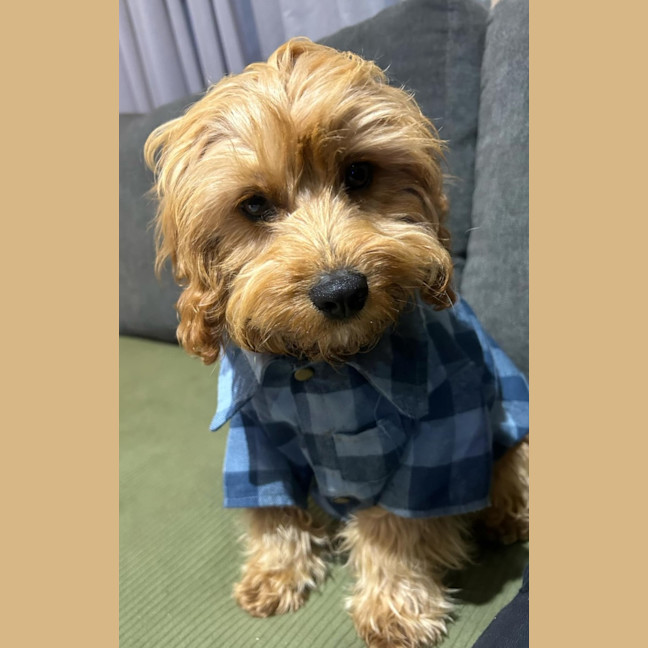 Photo of Austin