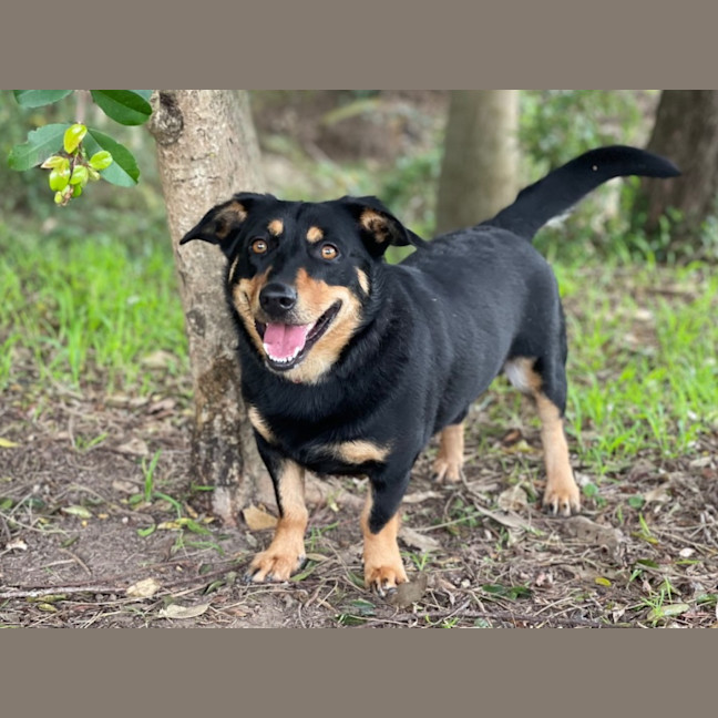 Photo of Bosley