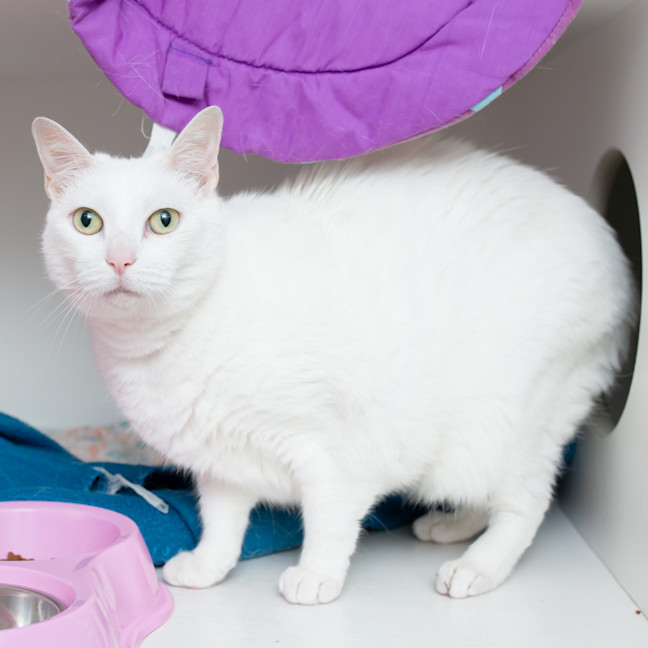 Photo of Maggie