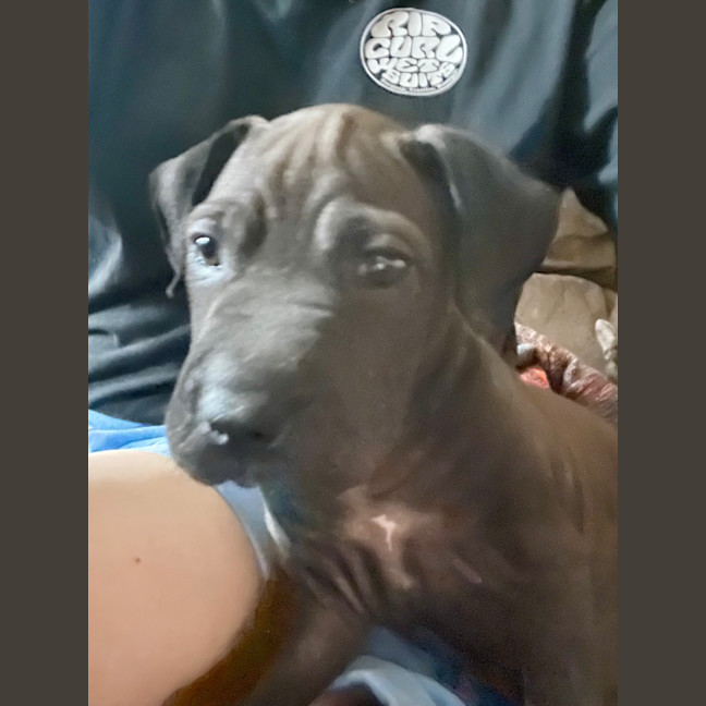 Photo of Lj (Lucille Junior)