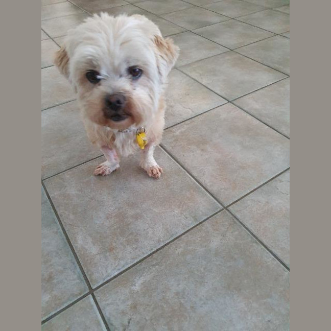 Photo of Roxy
