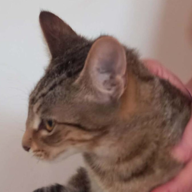 Photo of Jenny