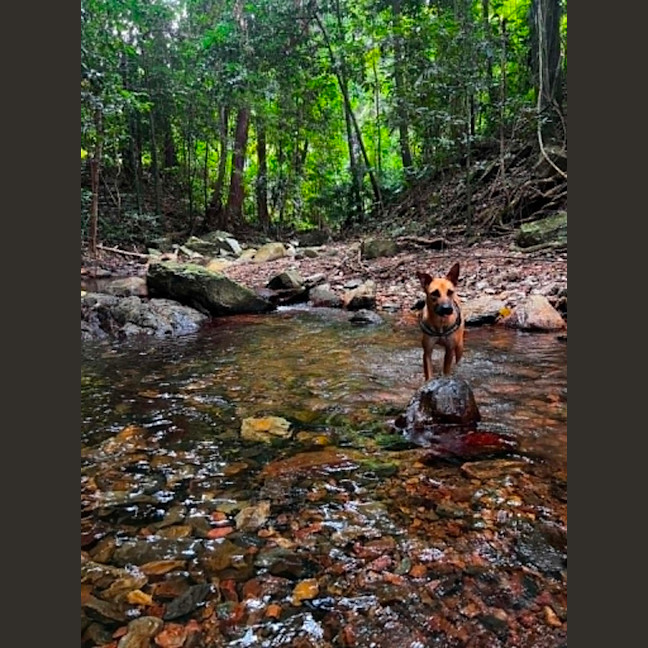 Photo of Nombu