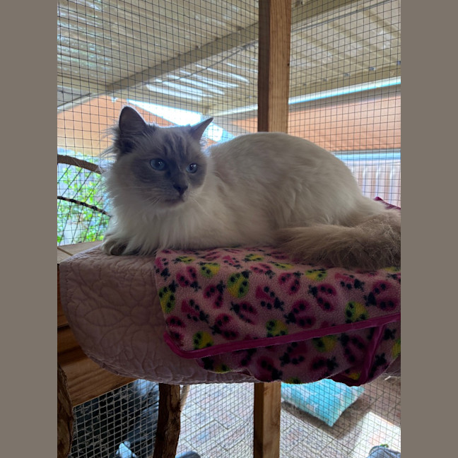 Photo of Casper