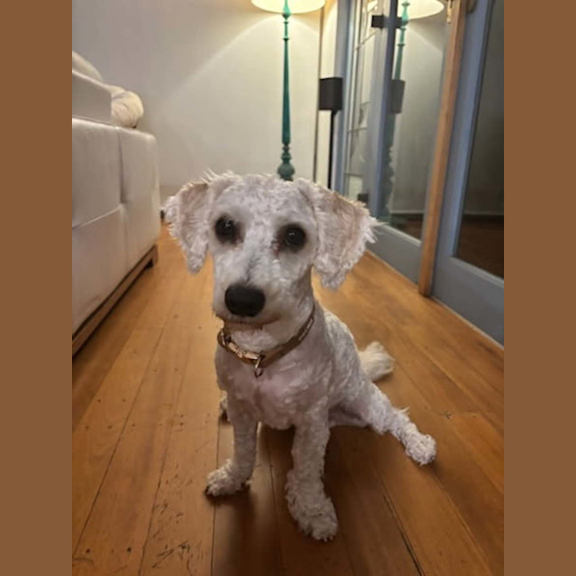 Photo of Beanie 