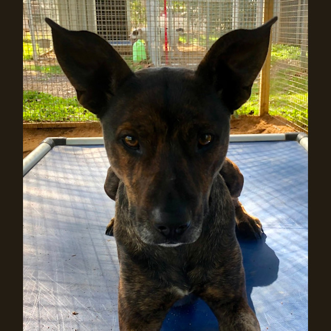 Photo of Missy