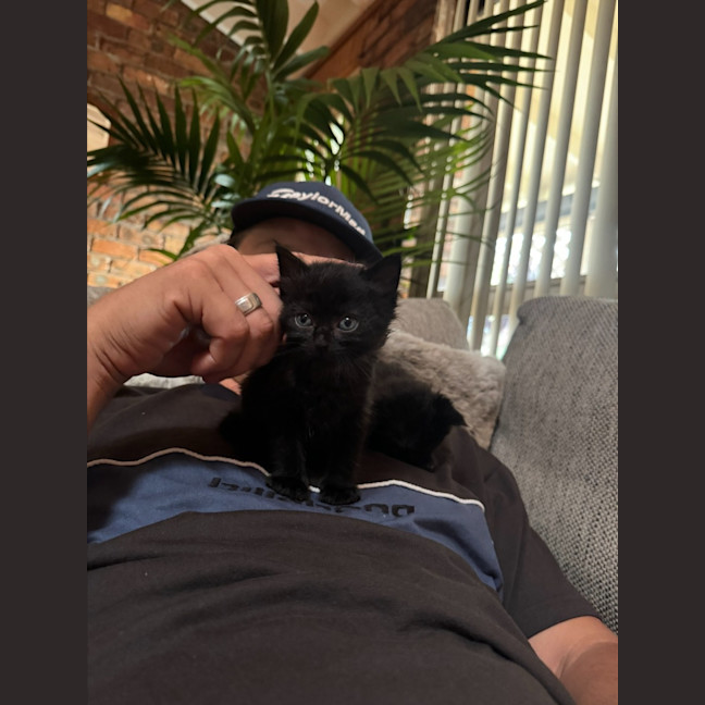 Photo of C1519 Minnie