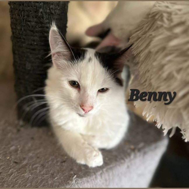 Photo of Benny