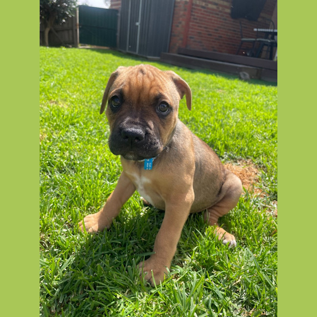 Photo of Polly