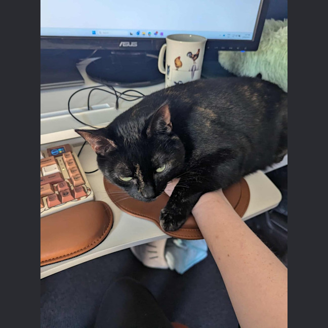 Photo of Amy & Declan