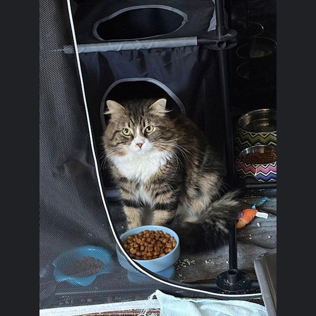 Photo of Barney